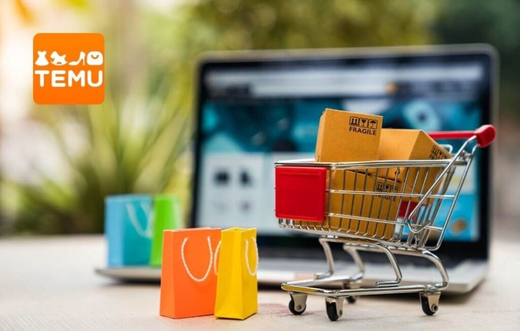 shoppoing on temu and why prices are so cheap